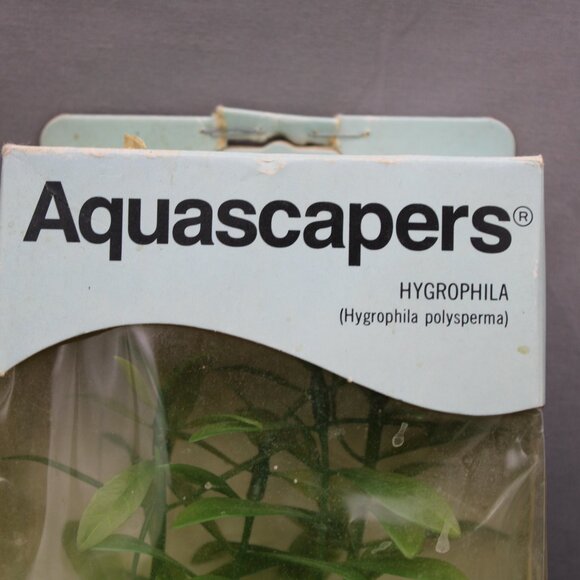 Vintage Aquarium Plant - Hygrophila by Aquascapers - New In Package - Picture 2 of 7